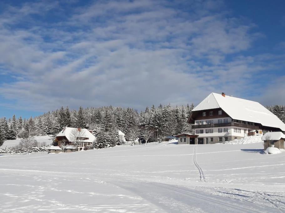 Haus Lucia, Mit Pool Und Sauna, Appartment 4 Schönwald Luaran gambar