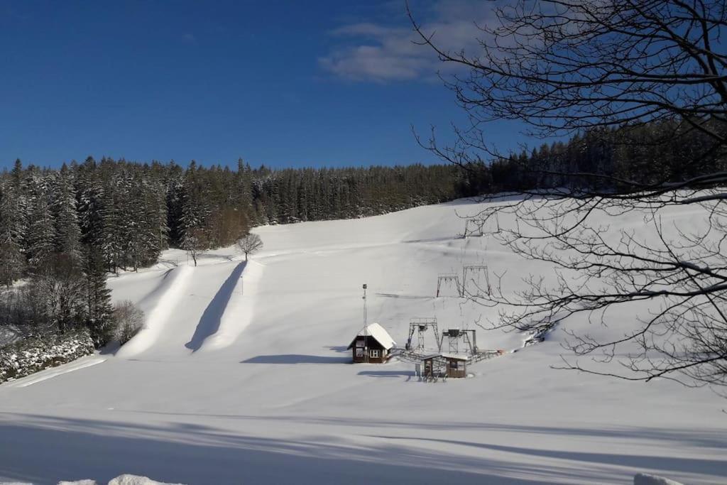 Haus Lucia, Mit Pool Und Sauna, Appartment 4 Schönwald Luaran gambar