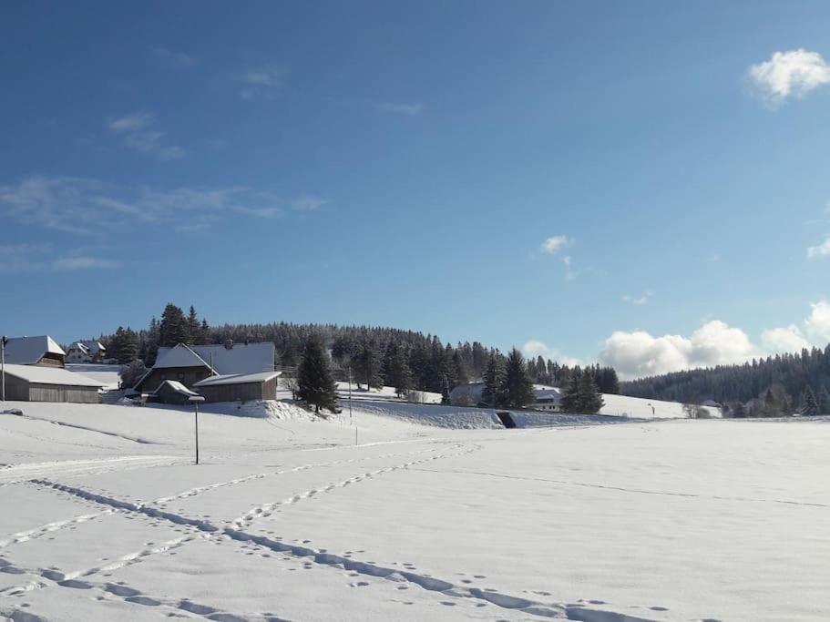 Haus Lucia, Mit Pool Und Sauna, Appartment 4 Schönwald Luaran gambar